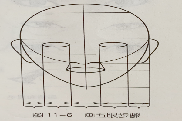 發(fā)型素描—面部五官定位