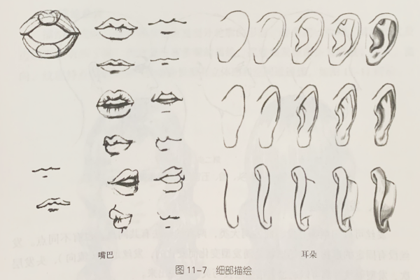 發(fā)型素描—頭面部素描